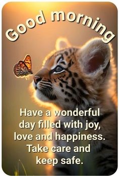 a small tiger cub with a butterfly on its nose and the words good morning have a wonderful day filled with joy, love and happiness take care and keep safe