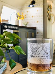 a glass filled with liquid sitting on top of a table next to a potted plant