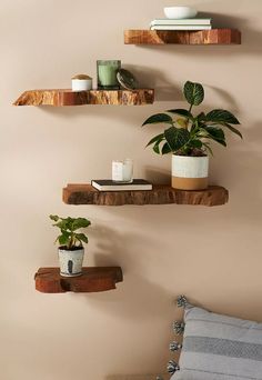 three wooden shelves with plants and books on them