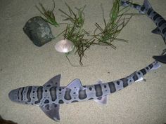 a fish is laying on the sand next to some seaweed and other marine life