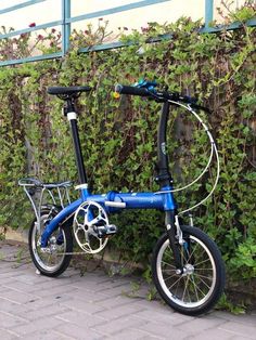 a blue bicycle parked next to a green hedge