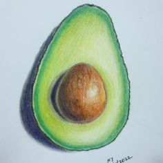 an avocado drawing with colored pencils on paper