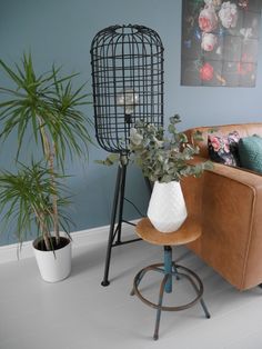 a living room with a couch, chair and potted plants on the floor in front of a blue wall