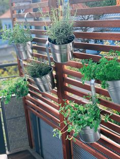 several metal buckets filled with plants hanging from a wooden fence on top of a building