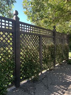 an iron fence is shown in front of some trees and bushes on a sunny day