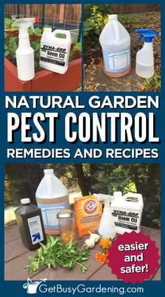 a bunch of bottles with organic methods to control garden pests Natural Garden Pesticide, Natural Pest Control For Garden, Natural Plant Pesticide, Diy Pesticide For Plants, Natural Garden Pest Control, Natural Pesticide For Vegetables, Natural Pesticides For Garden, Diy Natural Remedies, Pesticides For Plants