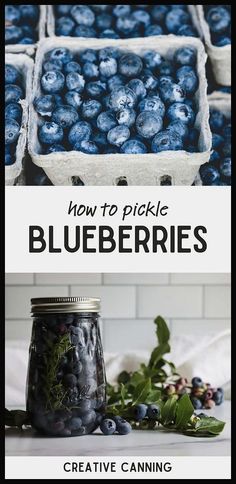 blueberries in jars with the title how to pick blueberries