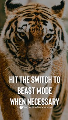 a tiger with the caption hit the switch to beast mode when necessary