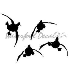 the silhouettes of three birds flying over each other