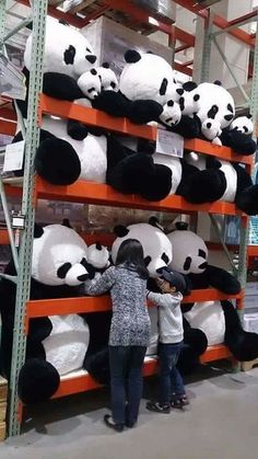 two people standing in front of shelves filled with stuffed pandas and other items,