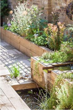 the garden is full of plants and water