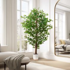 a living room with a large mirror and a potted plant in the middle of the room