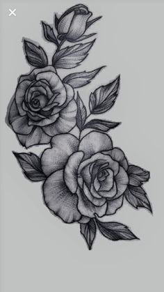 a black and white drawing of three roses