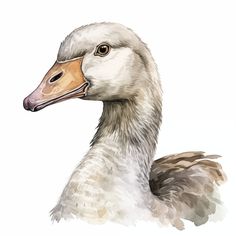 a watercolor painting of a duck on a white background