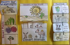 an open book with pictures of desert animals and plants on the front, along with four different cards