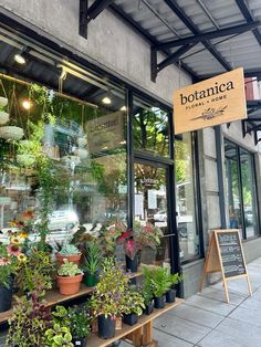 potted plants are displayed in the window of a flower shop