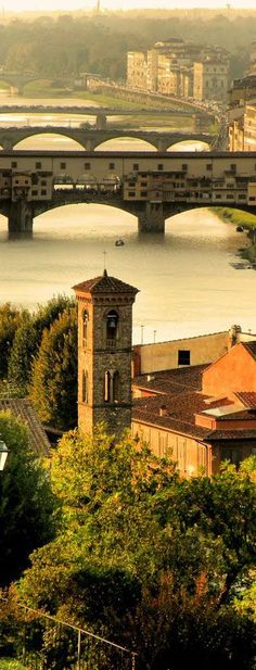 a view of a bridge over a river with buildings in the foreground and trees on the other side