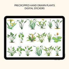 an image of plants that are being displayed on a tablet screen with the text, pre - prepped hand drawn plants digital stickers