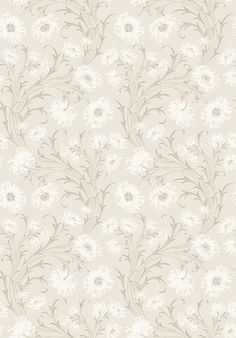 a wallpaper with white flowers and leaves on the side, as well as a beige background