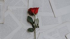 a single red rose sitting on top of an open book with pages scattered around it