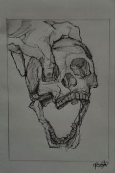 a drawing of a human skull with teeth