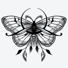 a black and white drawing of a butterfly