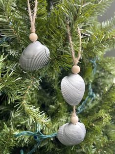 three seashell ornaments hanging from a christmas tree with twine cord on it's ends