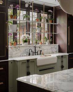 a kitchen filled with lots of plants and flowers on the window sill above the sink