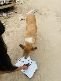 a dog standing on top of a piece of paper next to a person holding a sign