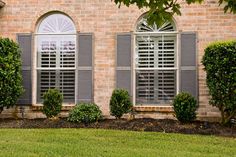 two windows with shutters are shown in front of a brick building and green grass