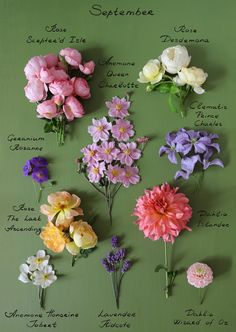 flowers arranged on a green wall with names in english and french written below the flowers