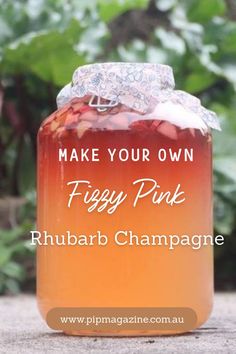 Fizzy Pink Rhubarb Champagne Rhubarb Wine, Champagne Recipe, Homemade Liquor, Liquor Recipes, Liqueurs Recipes, Fermentation Recipes, Homemade Wine, Rhubarb Recipes, Homemade Drinks