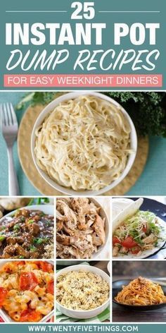 25 instant pot dump recipes for easy weeknight dinners