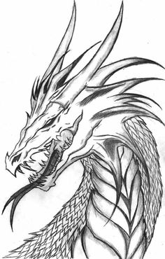 a black and white drawing of a dragon with its head turned to the right side