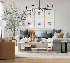 a living room with blue couches and pictures on the wall above them, along with a coffee table