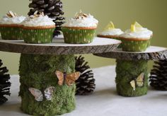 cupcakes are decorated with moss and pine cones