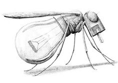 a drawing of a mosquito on a white background