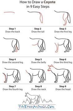 how to draw a horse in 9 easy steps step by step instructions for beginners