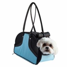 a small white dog sitting inside of a blue and black handbag on a white background