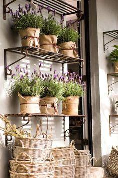 several baskets with lavender plants in them sitting on a shelf next to a wall mounted potted planter