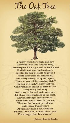 the oak tree poem on parchment paper