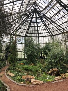 the inside of a greenhouse with lots of plants and trees in it's center