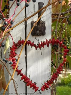 a heart - shaped decoration made out of berries hangs on the side of a door