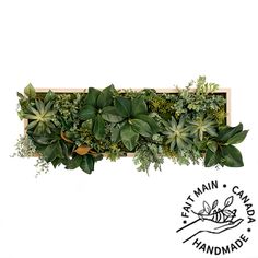 a wooden box filled with lots of green plants