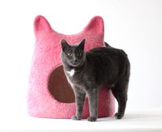 a black cat standing next to a pink kitty bed