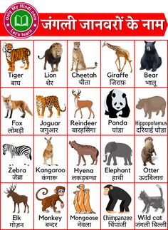 Animals Name In Hindi Worksheet, Animals Name In Hindi, Wild Animals Name, Animals Name With Picture, Animals Name List, Tapestry Inspiration, Hindi Lessons, Kids Learning Alphabet, Hindi Learning