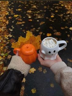 a person holding a coffee cup with marshmallows in it and an orange pumpkin