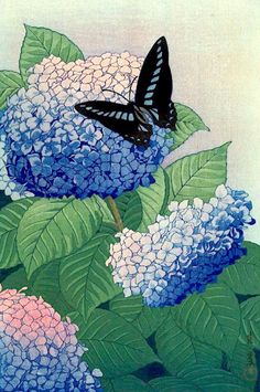 a butterfly sitting on top of some blue and white hydrangea flowers with green leaves