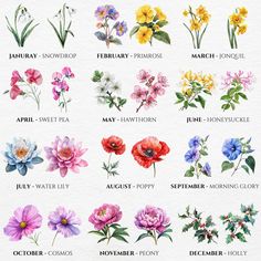 an image of flowers that are in english