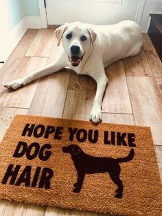 a dog laying on the floor next to a door mat that says, hope you like dog hair